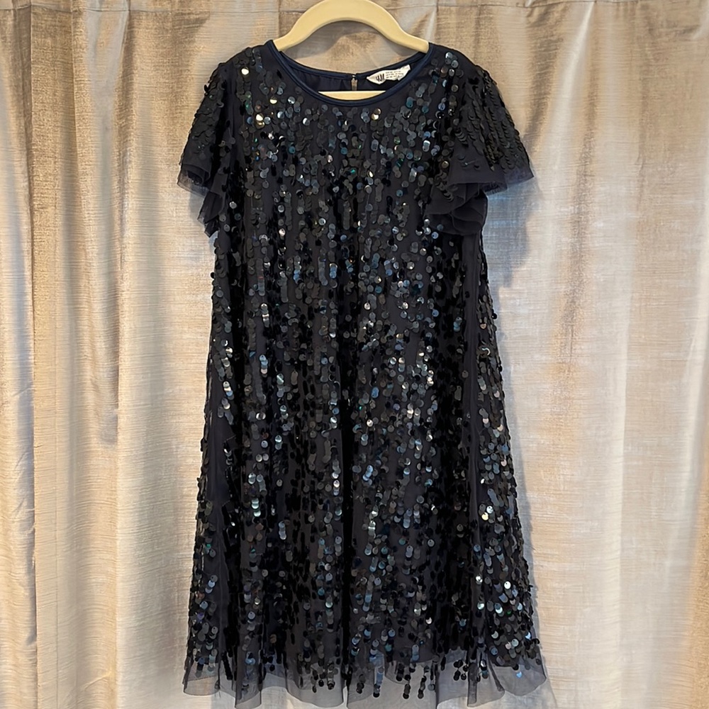 H&M Navy Sequin Party Dress
